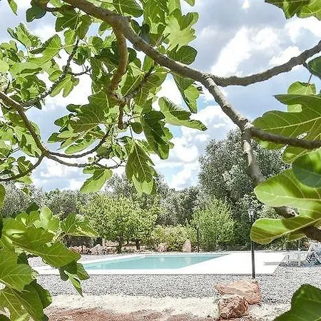 Trulli Primavera Ostuni